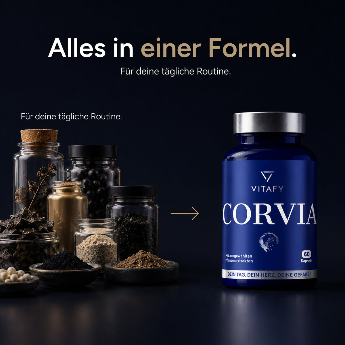 CORVIA - Herz Gefäß Komplex mit schwarzem Knoblauch (60 Kapseln)