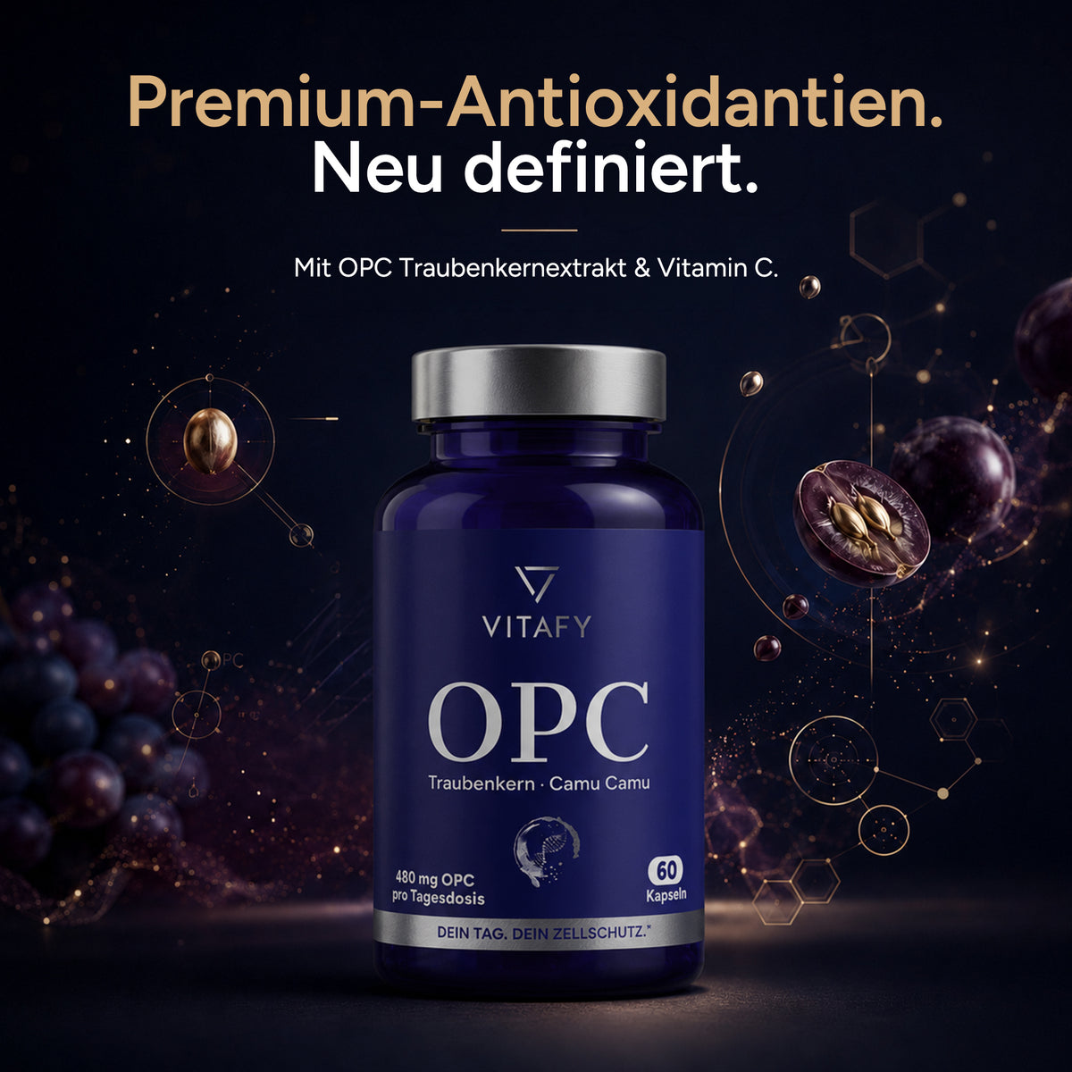OPC Traubenkernextrakt + Vitamin C (60 Kapseln)