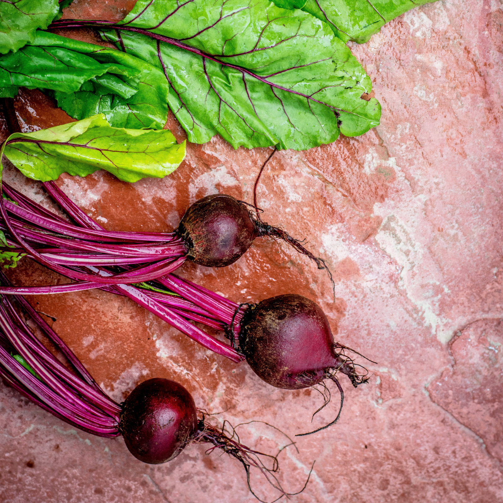 Rote Beete gemahlen Bio (500g)