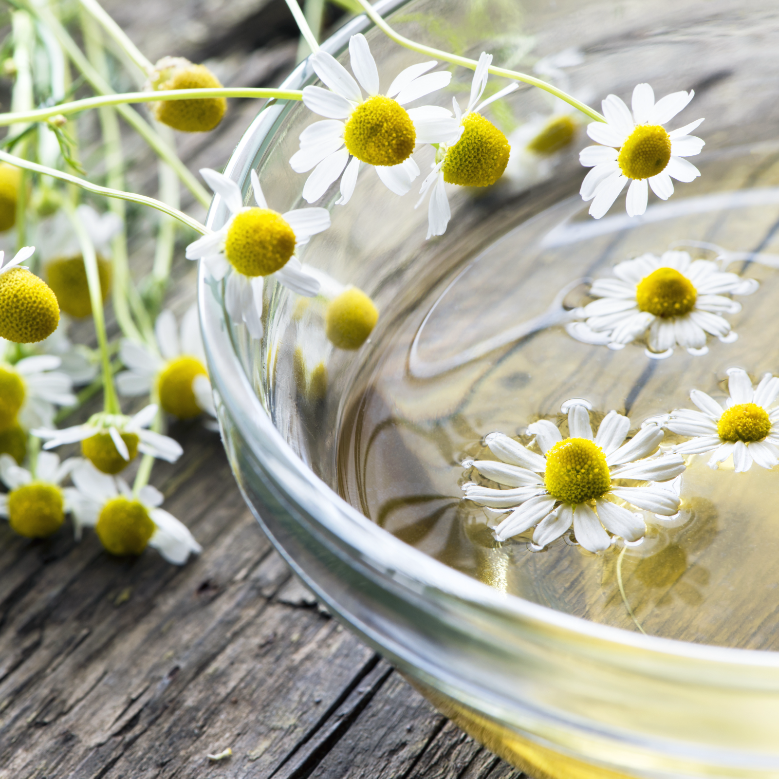 Kamillenblüten ganz Bio (1000g)