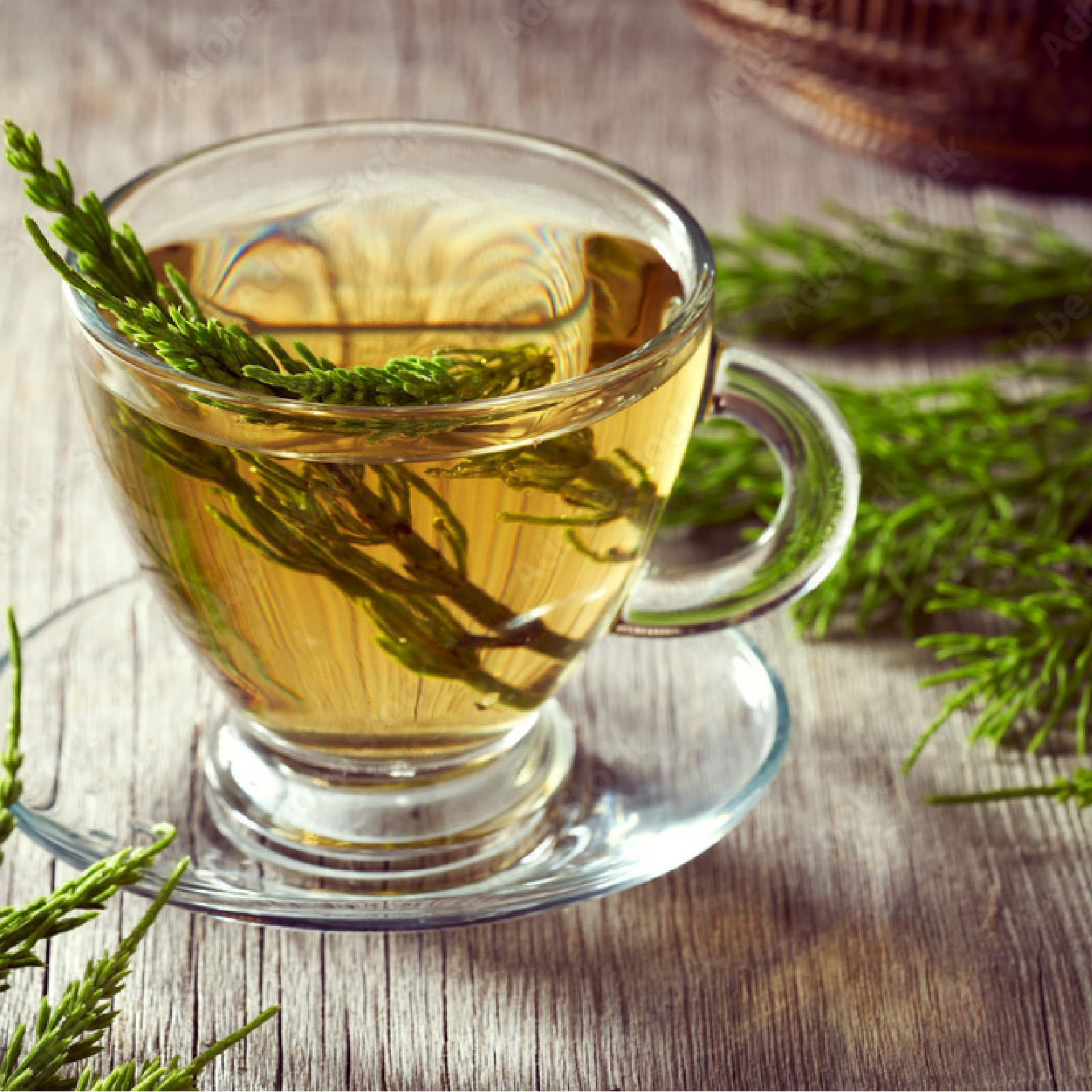 Schachtelhalmkraut geschnitten (100g)