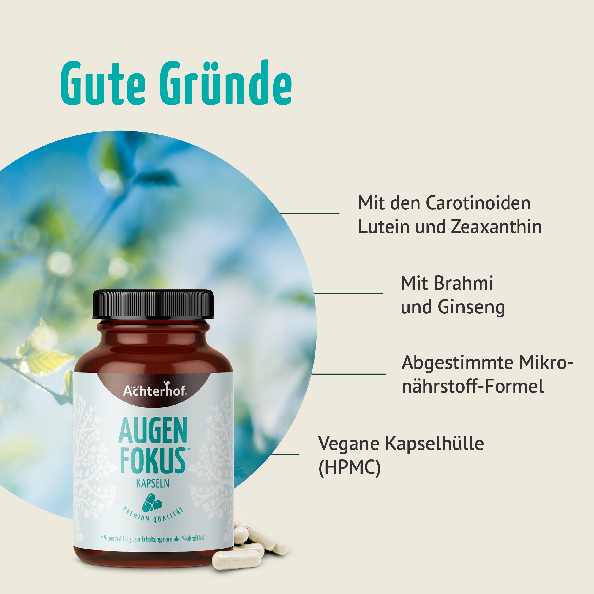 Augen Fokus Kapseln (120 Kapseln)