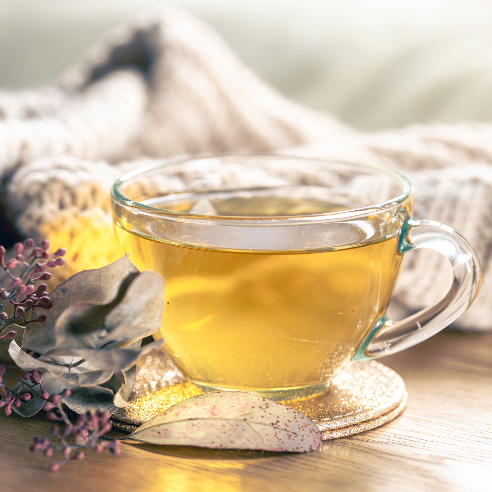 Birkenblätter geschnitten (500g)