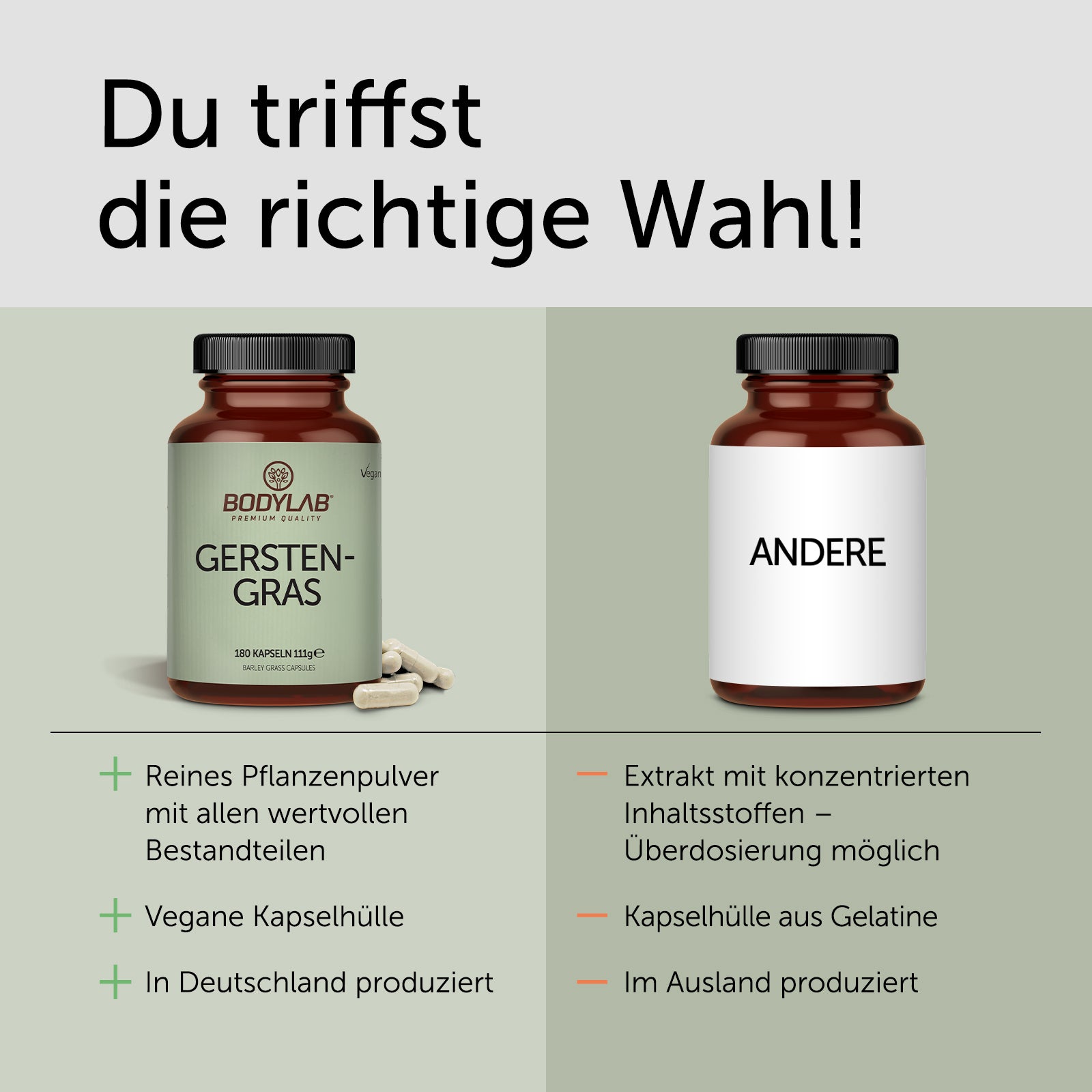 Gerstengras (180 Kapseln)