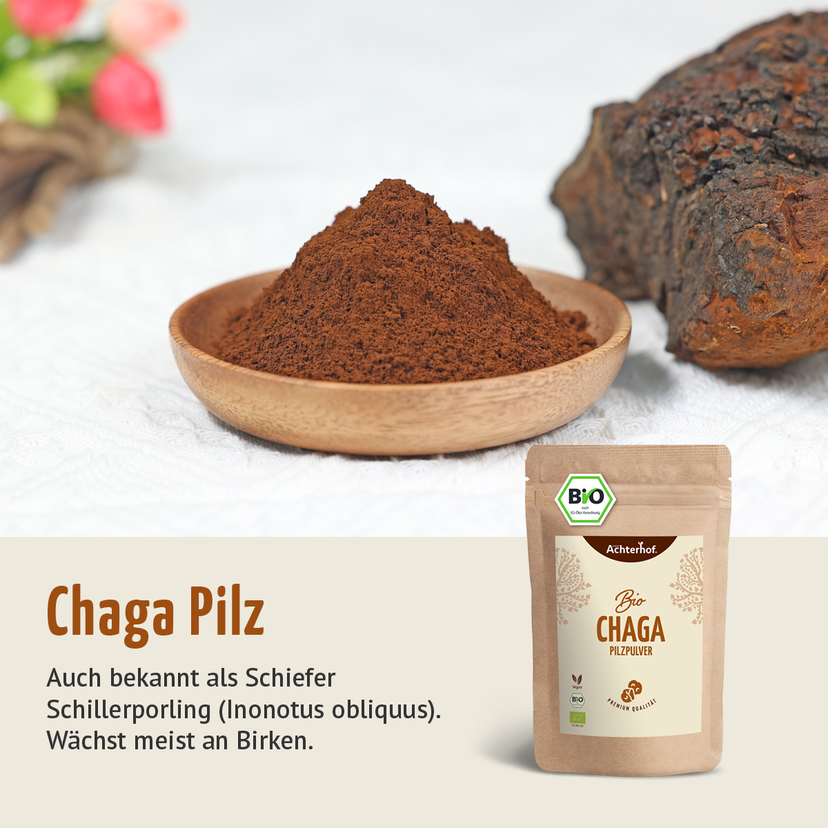 Bio Chaga Pilzpulver (250g)