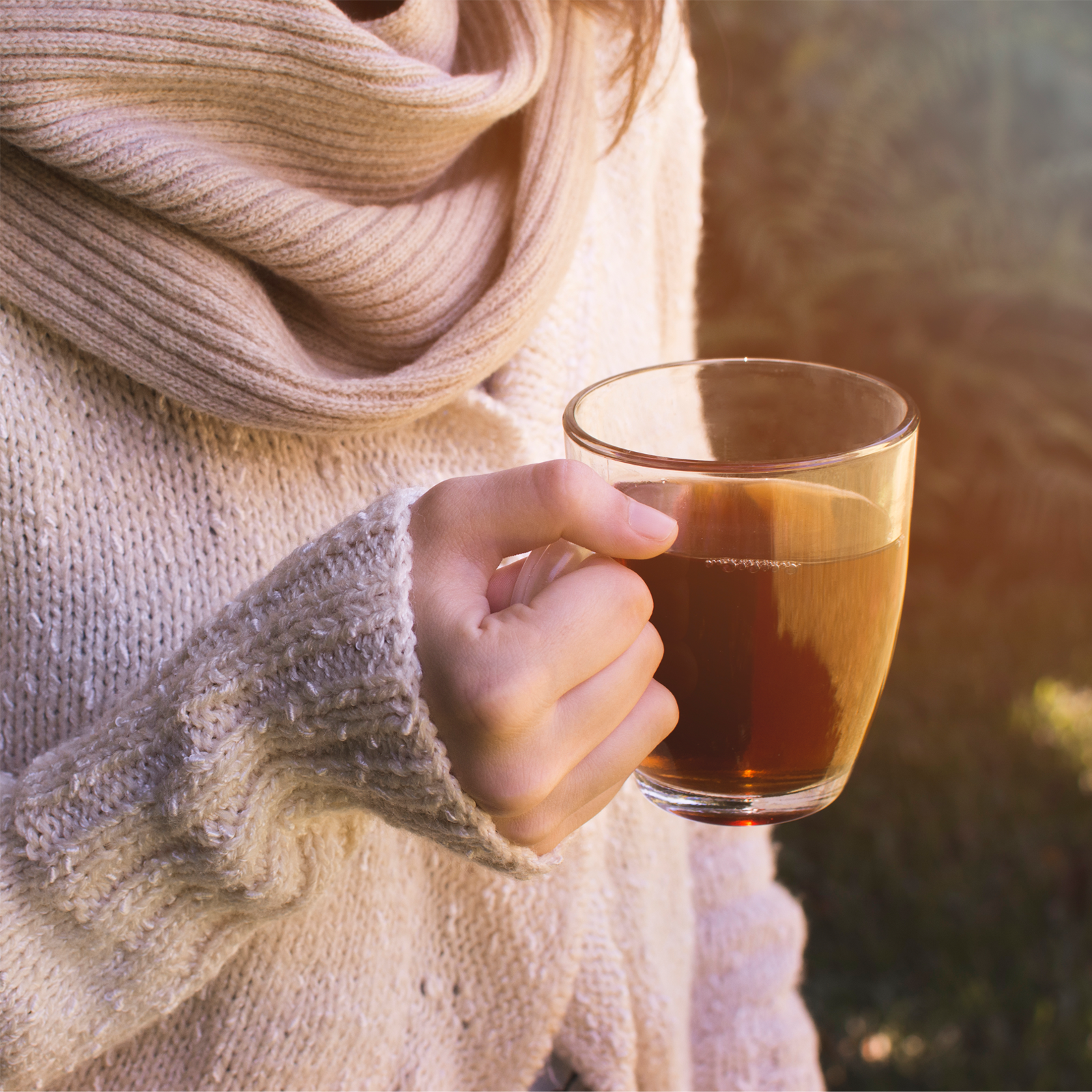 Ehrenpreiskraut geschnitten Bio (100g)