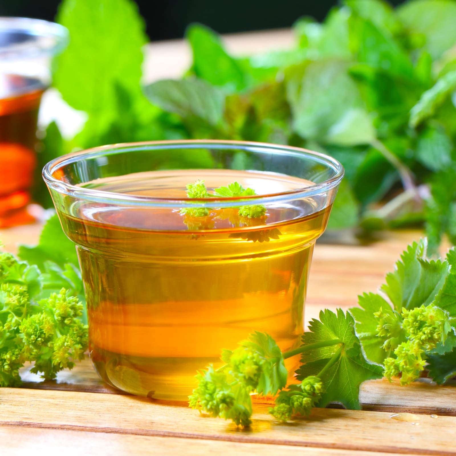 Frauenmantelkraut geschnitten (1000g)