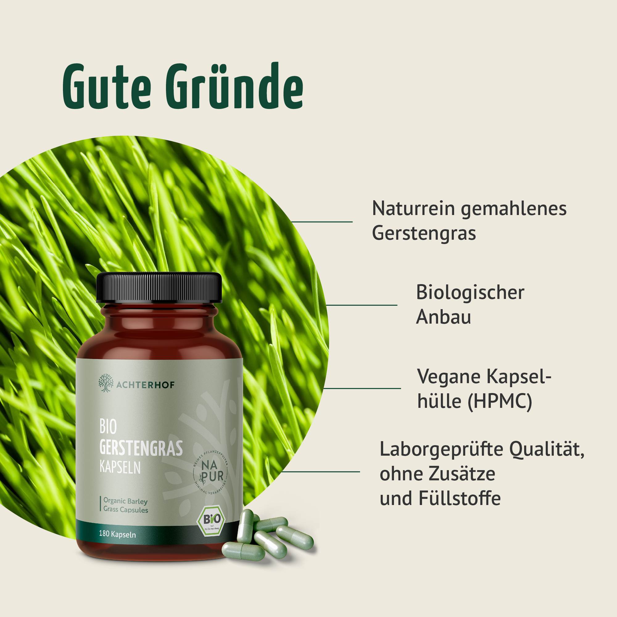 Bio Gerstengras Kapseln (180 Kapseln)