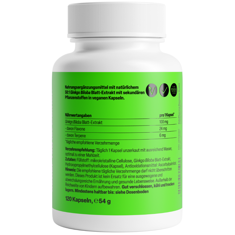 Ginkgo Biloba 100mg (120 Kapseln)