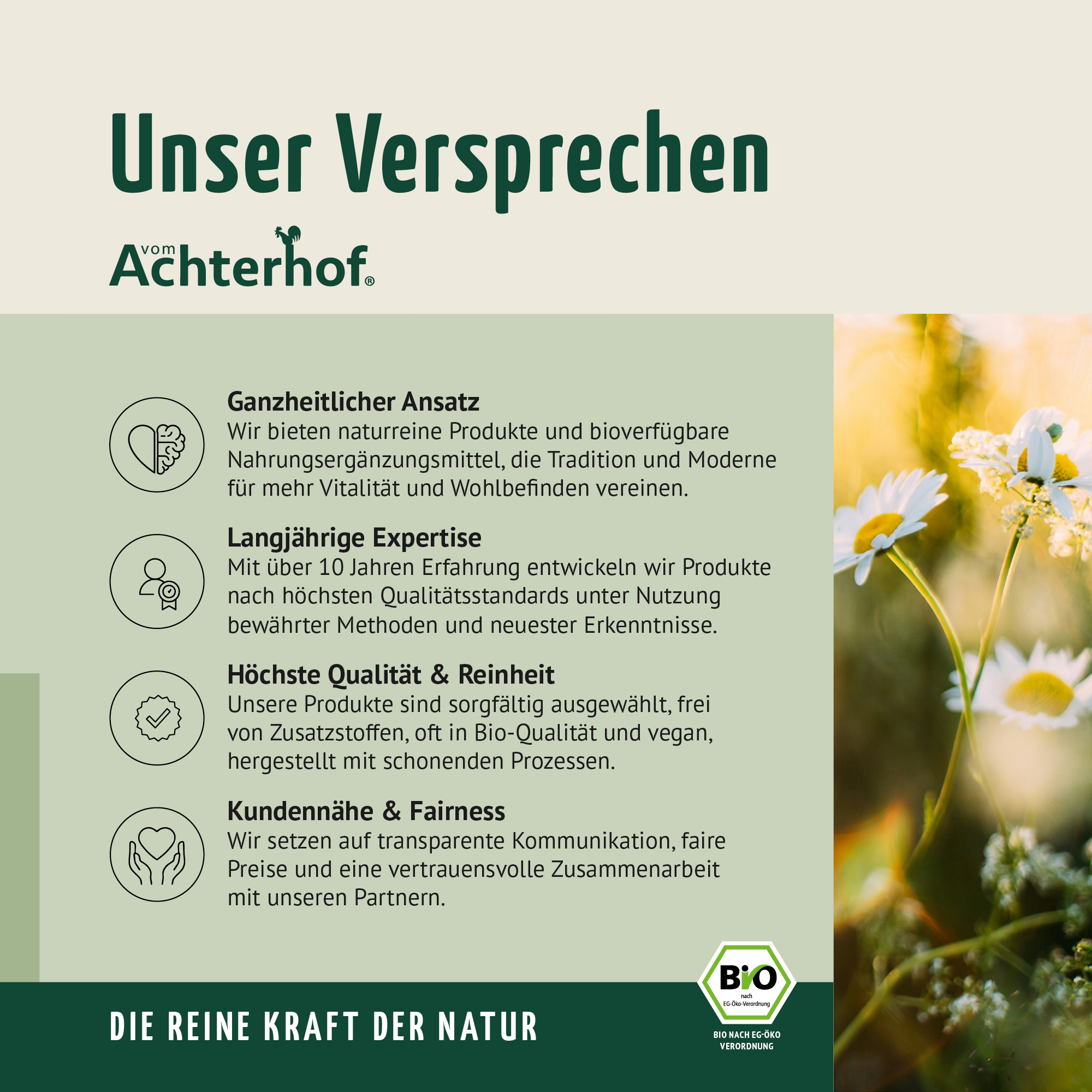 Bio Hagebutten Kapseln Nachfüllpack (400 Kapseln)