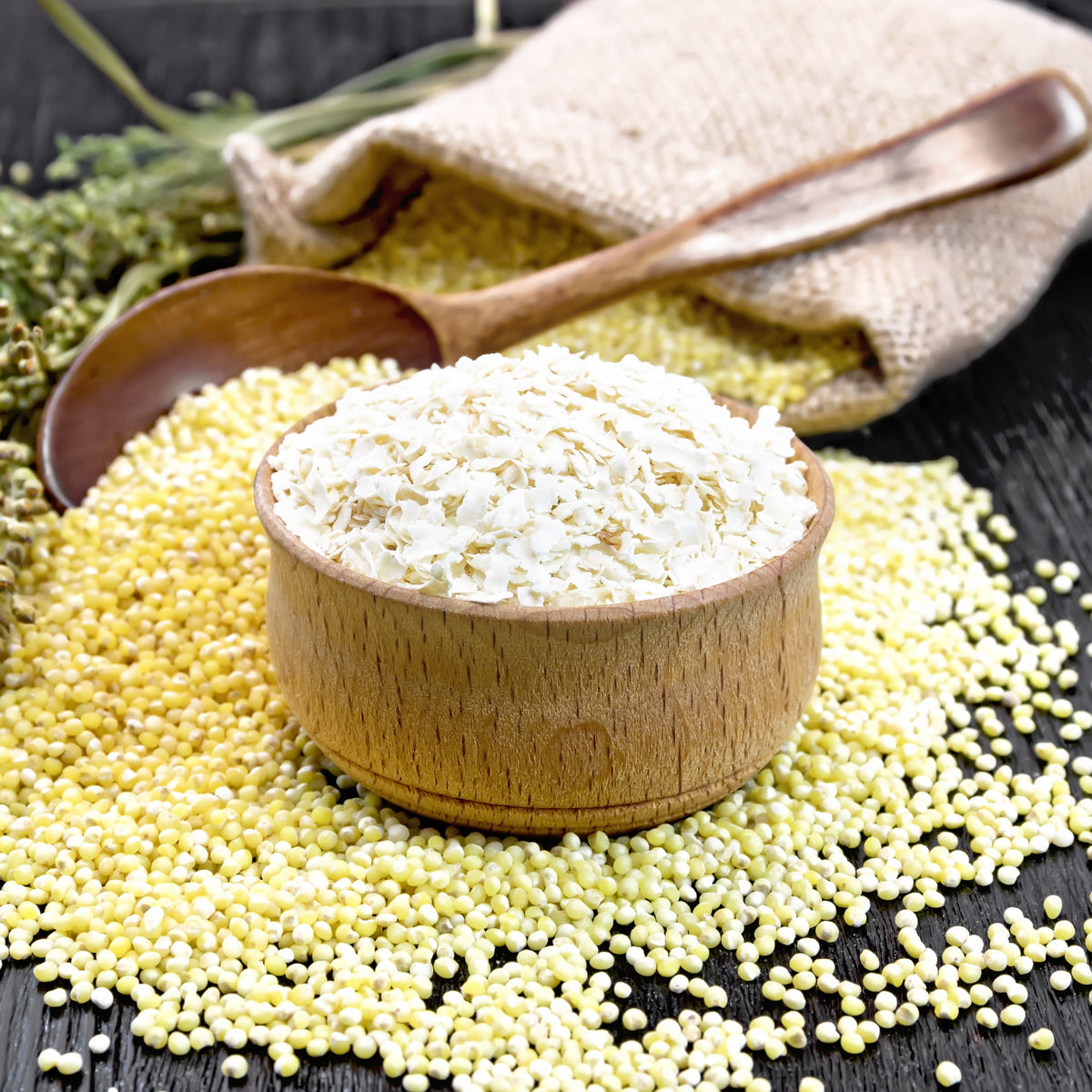 Bio Hirseflocken (250g)