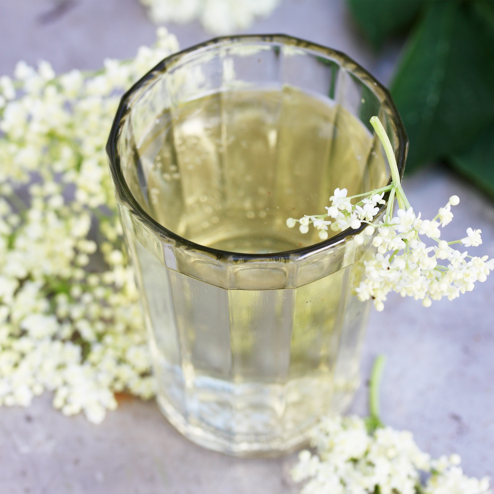Holunderblüten geschnitten (250g)