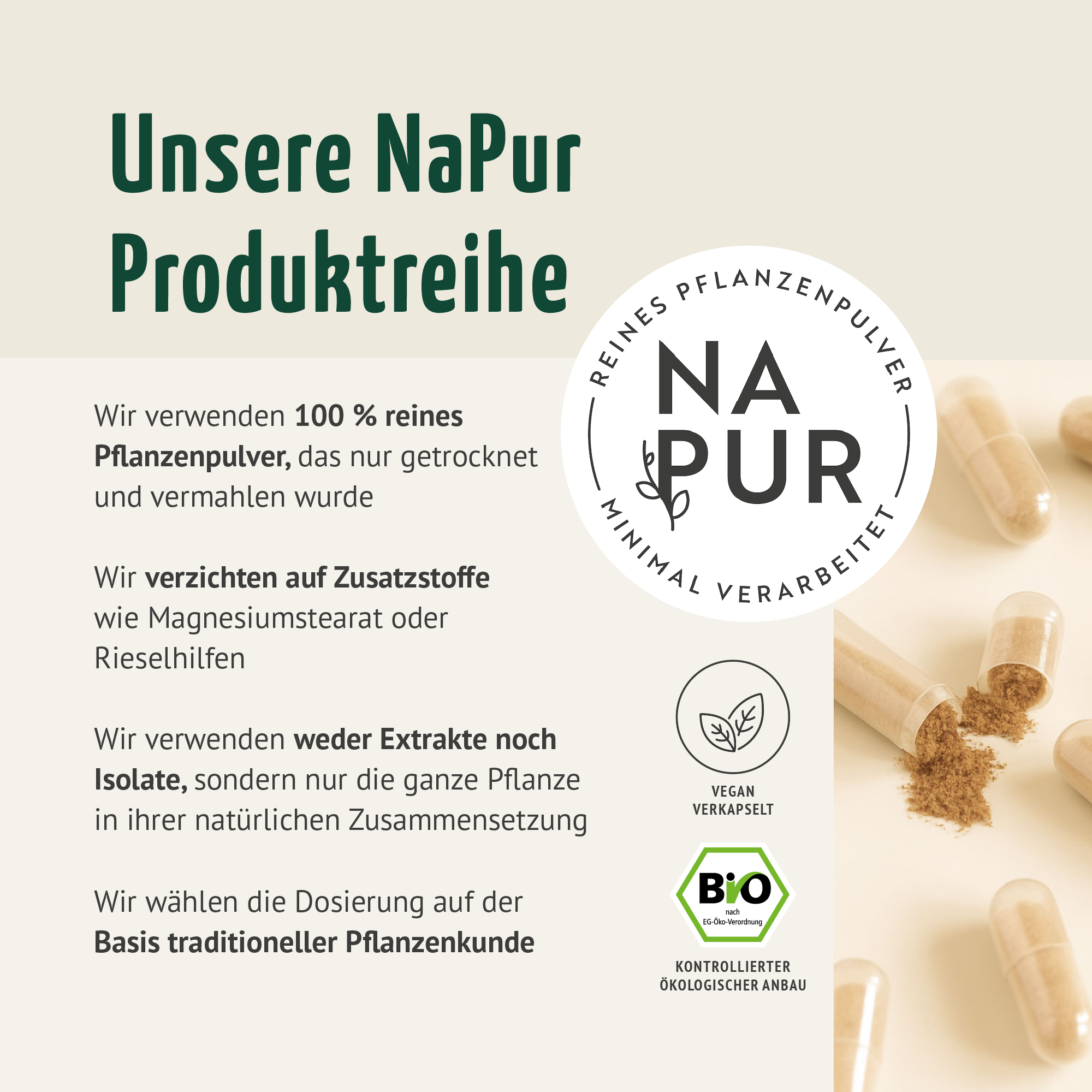 Bio Ingwer Kapseln Nachfüllpack (400 Kapseln)