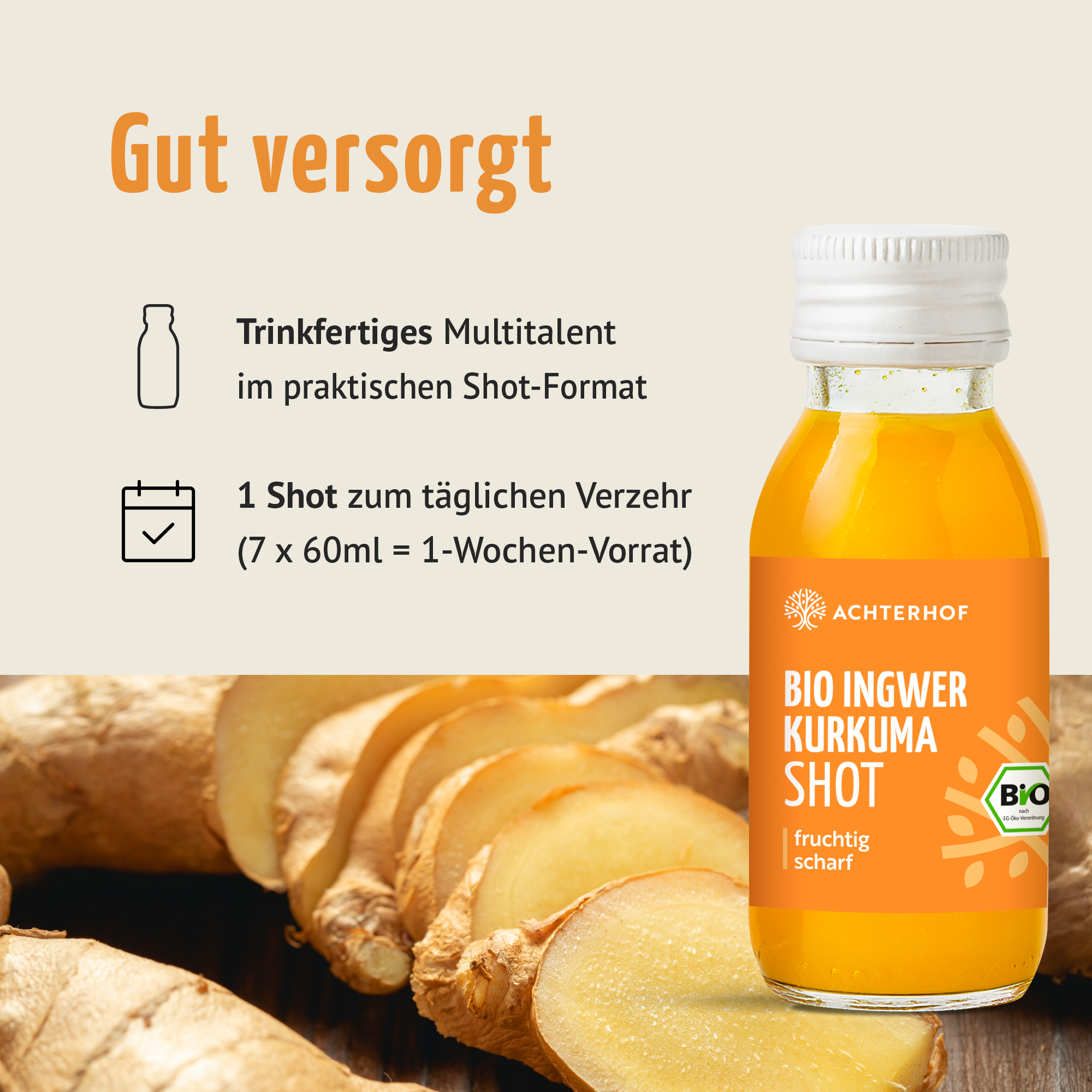 Bio Ingwer Kurkuma Shot (7 x 60ml)