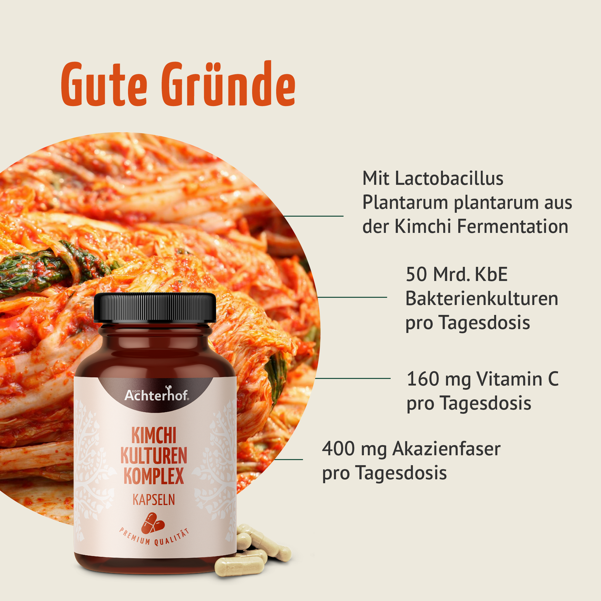 Kimchi Kulturen Komplex (120 Kapseln)