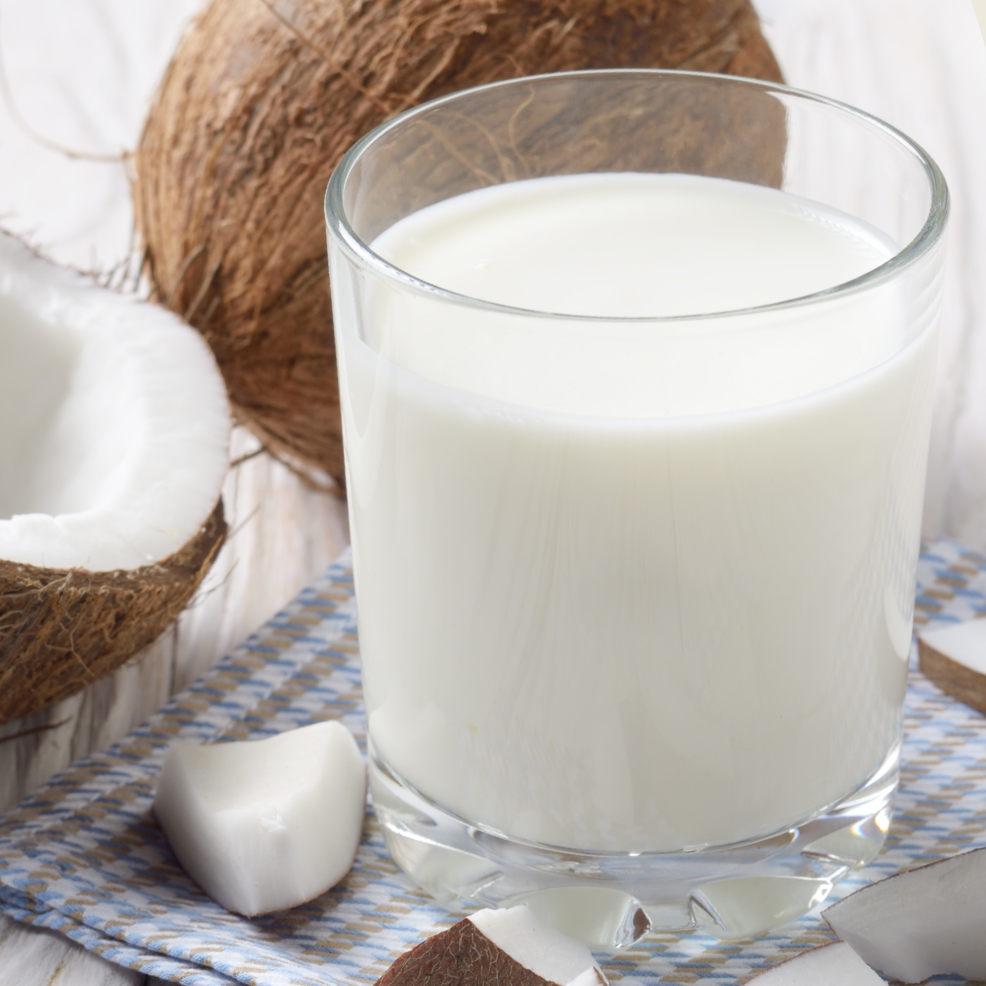 Bio Kokosnussmilch Pulver (500g)