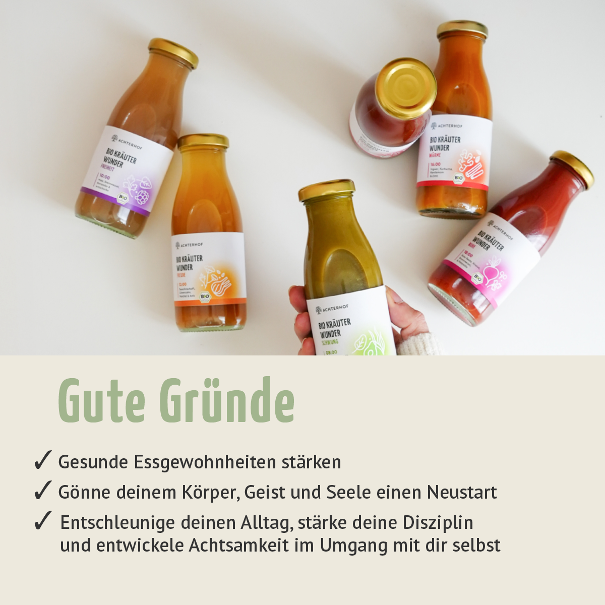 Kräuterwunder Bio Fastenkur 3 Tage (18 Flaschen)