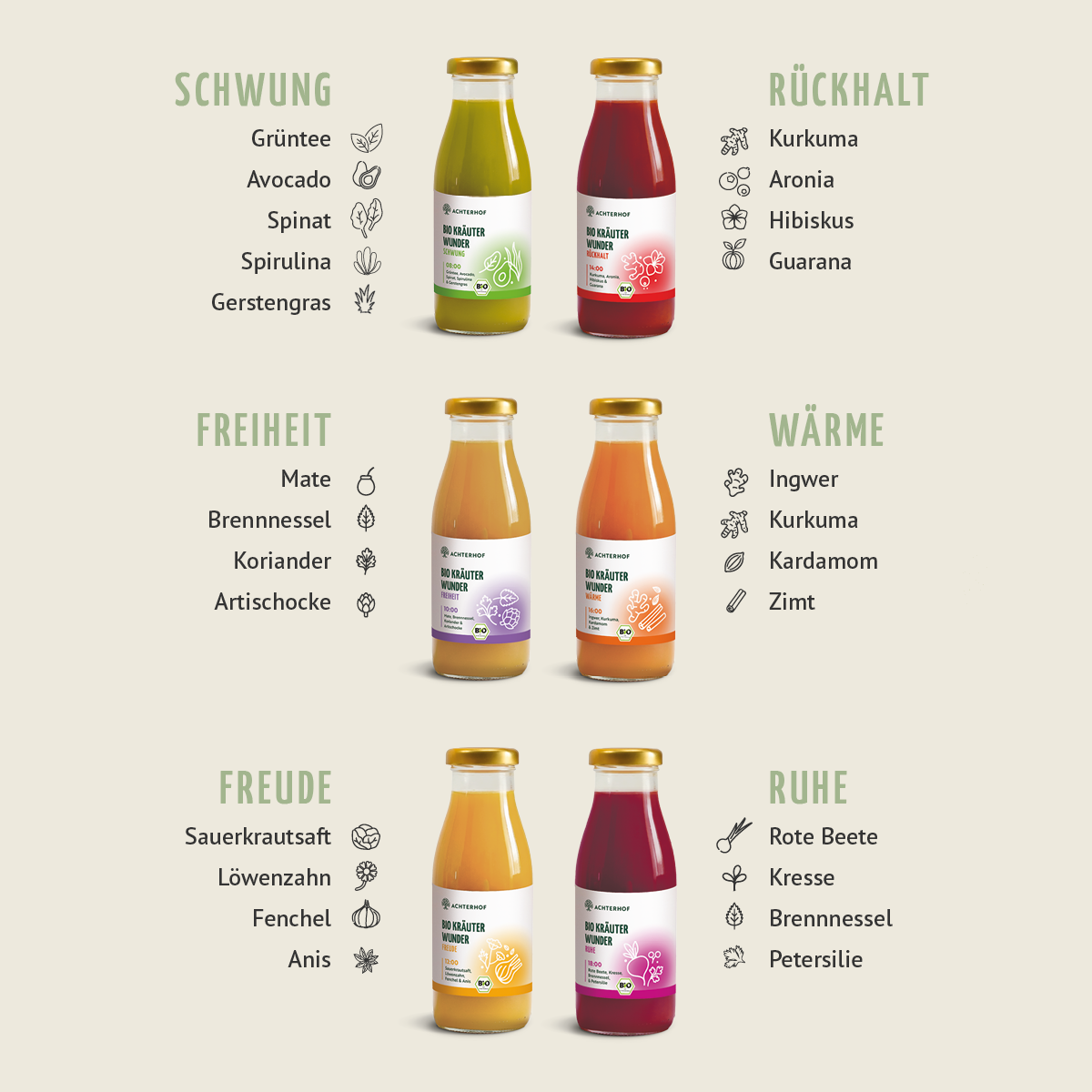 Kräuterwunder Bio Fastenkur 5 Tage (30 Flaschen)