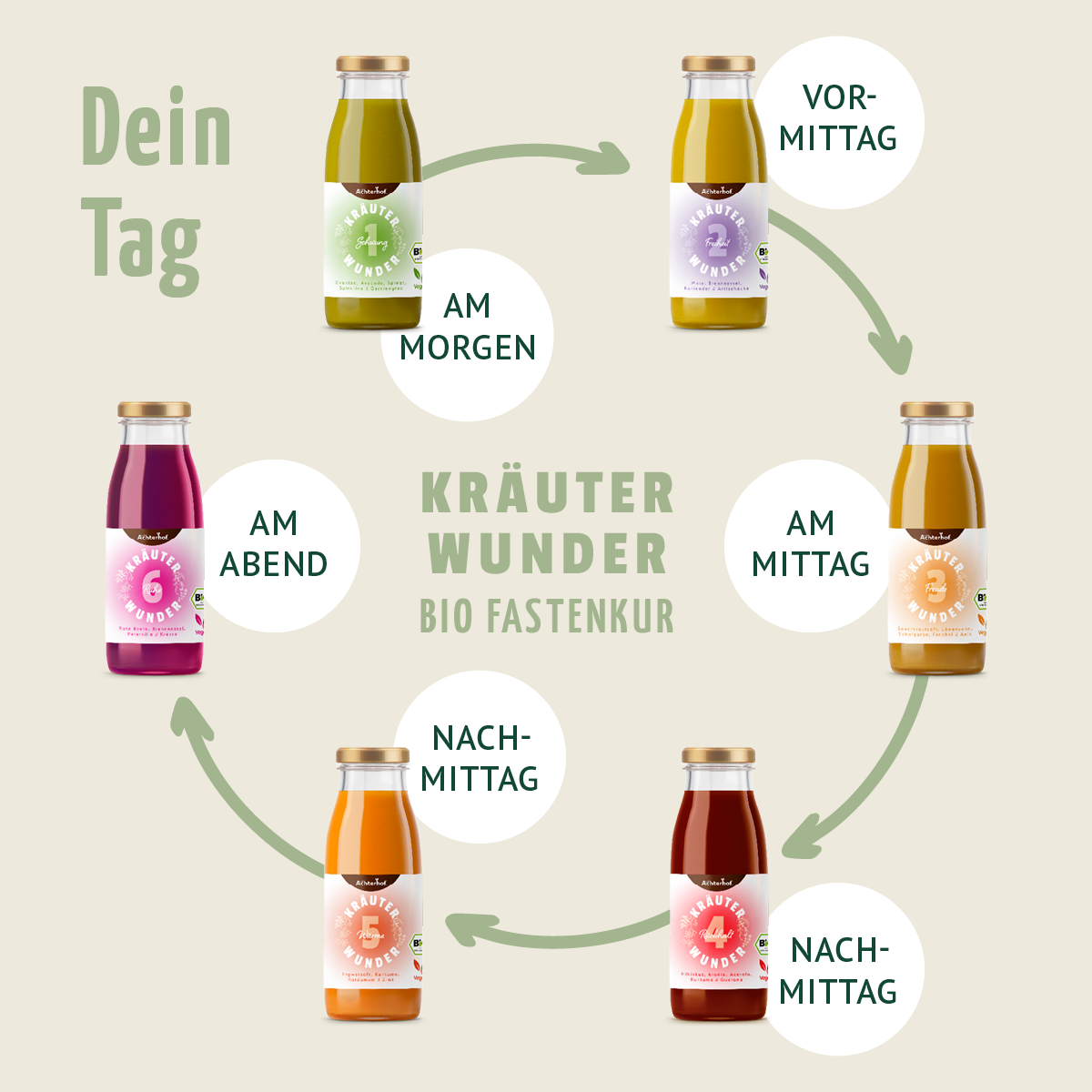 Kräuterwunder Bio Fastenkur 1 Tag (6 Flaschen)