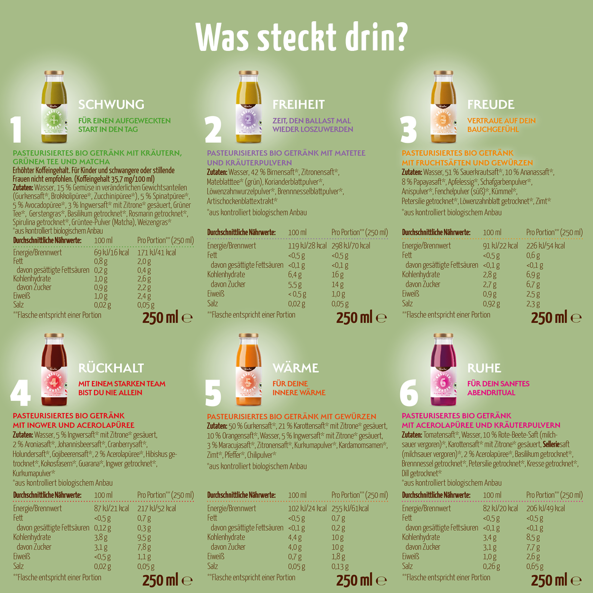 Kräuterwunder Bio Fastenkur 7 Tage (42 Flaschen)