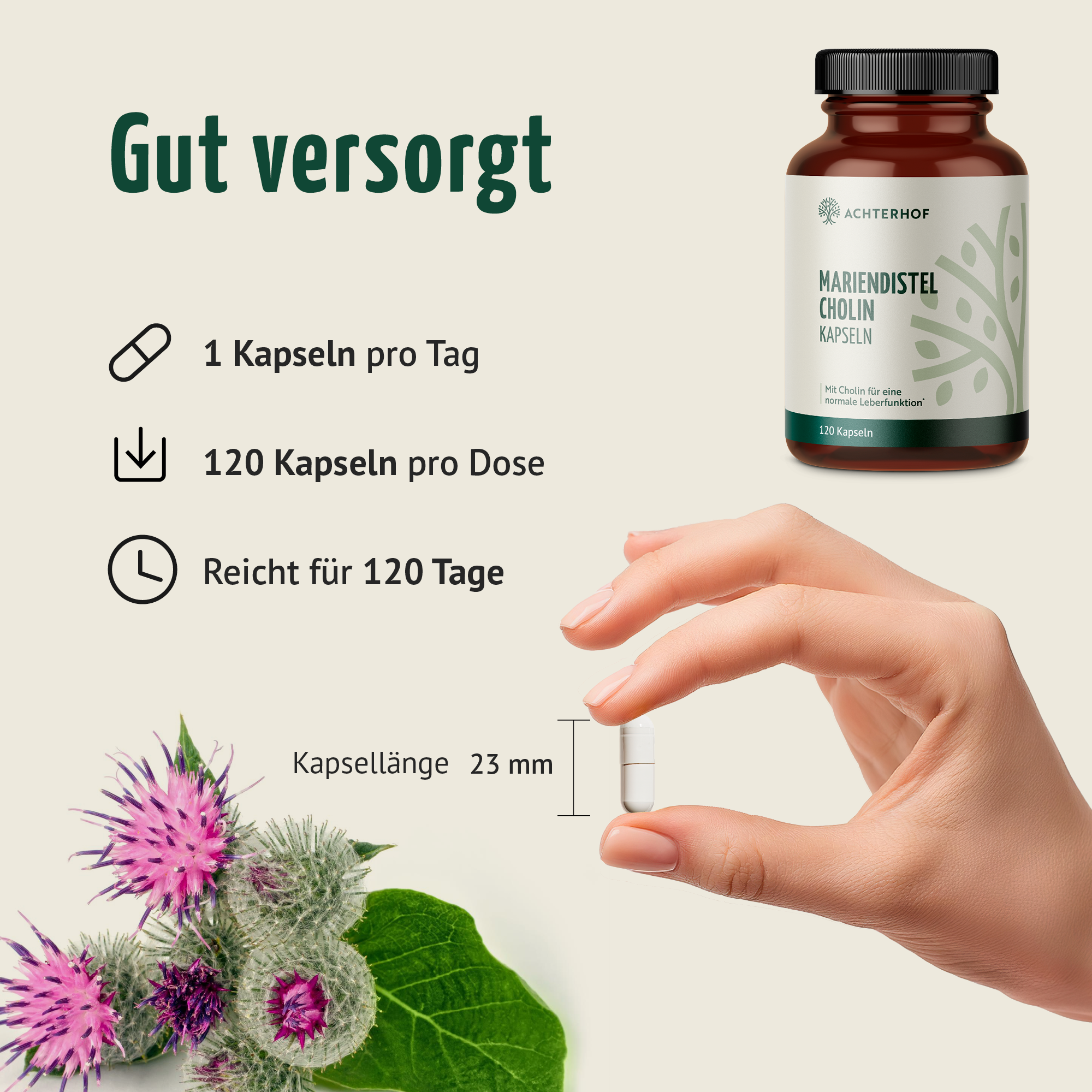 Mariendistel Cholin Kapseln (120 Kapseln)