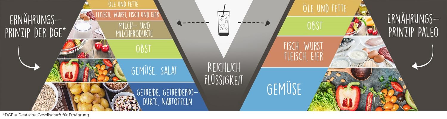 paleo-ernaehrungspyramide