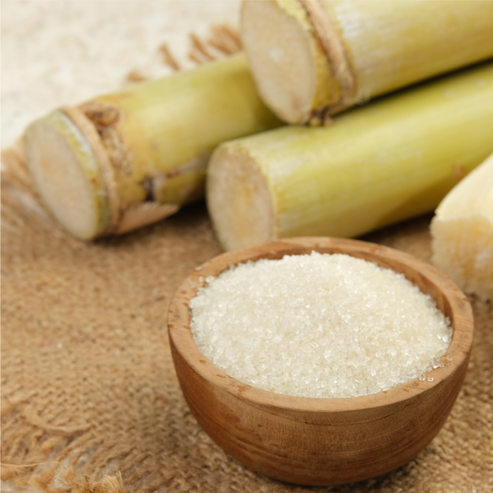 Panela Zucker Bio (500g)