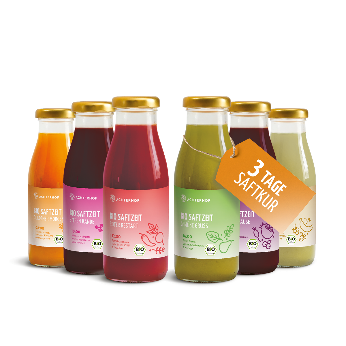 Saftzeit Bio Fastenkur 3 Tage (18 Flaschen)