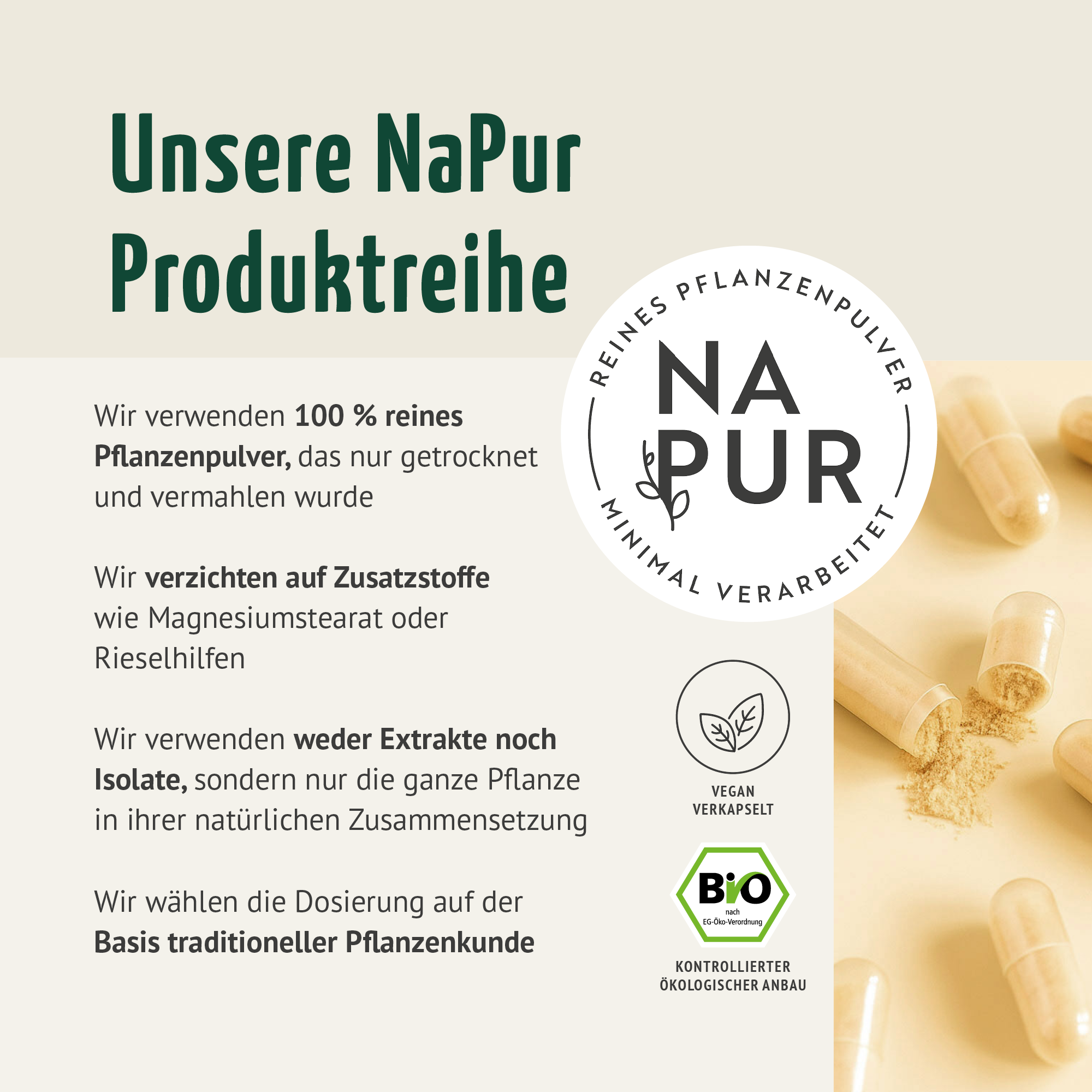 Shatavari Kapseln Bio Nachfüllpack (400 Kapseln)