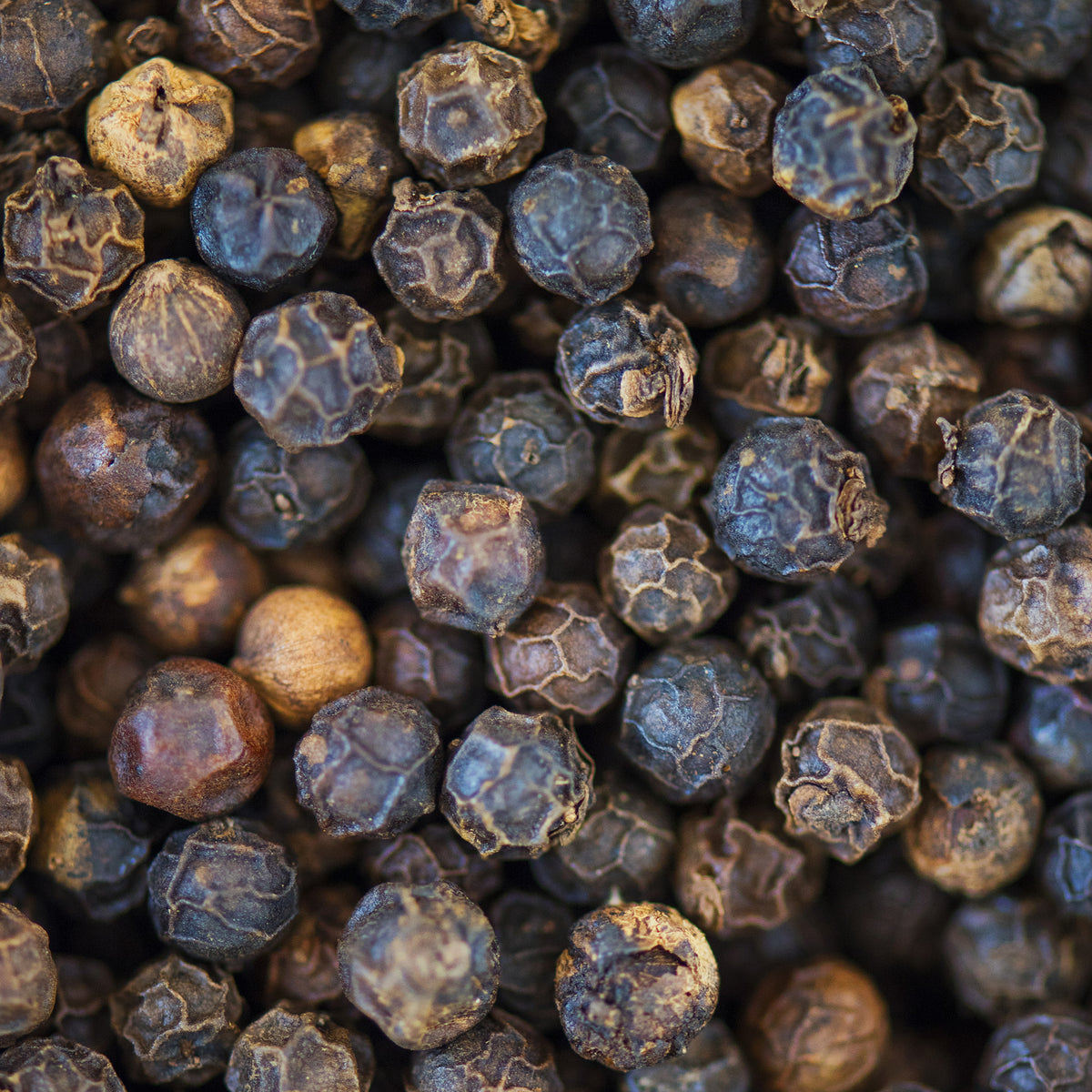 Tellicherry Pfeffer ganz (250g)