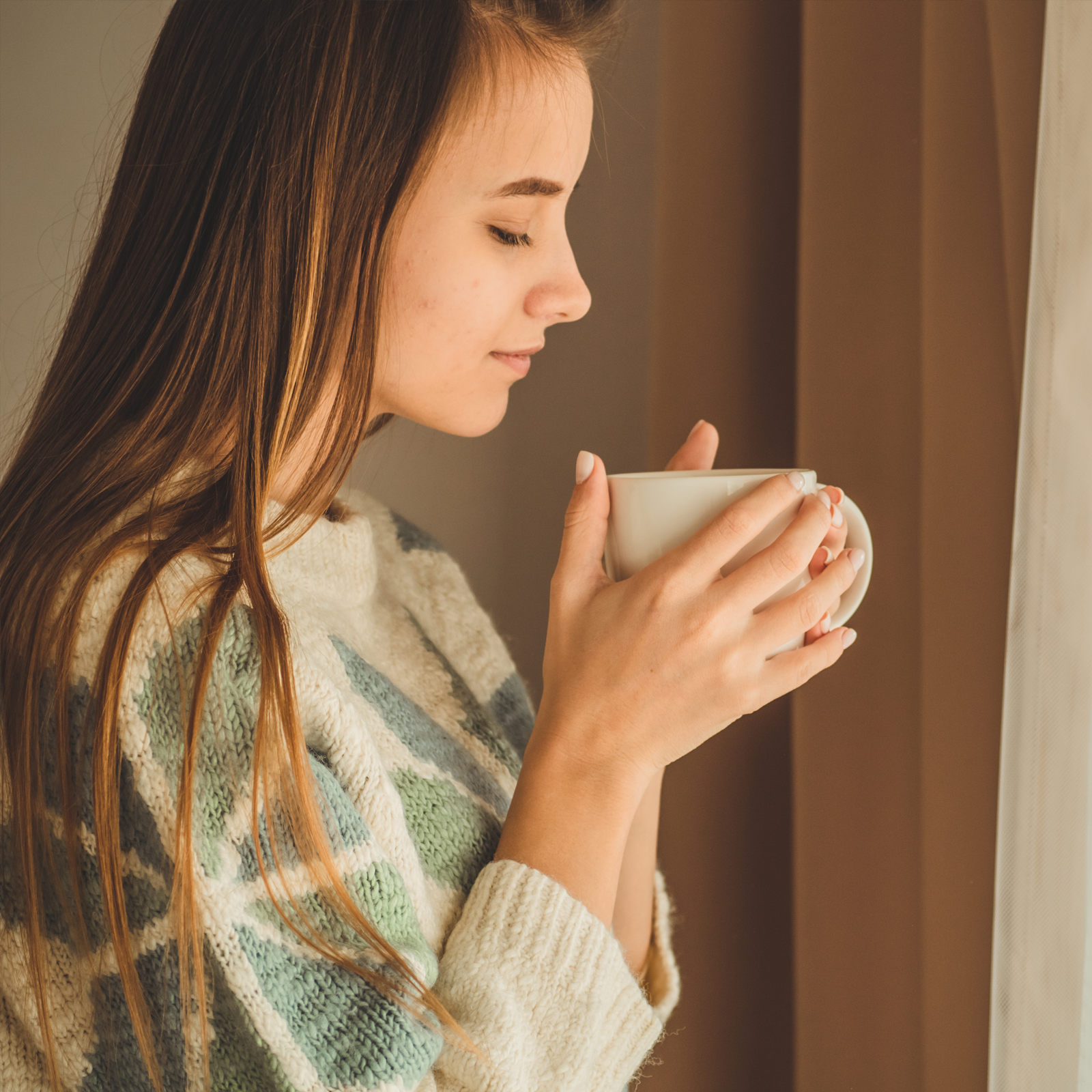 Tormentillwurzel Blutwurz geschnitten (500g)