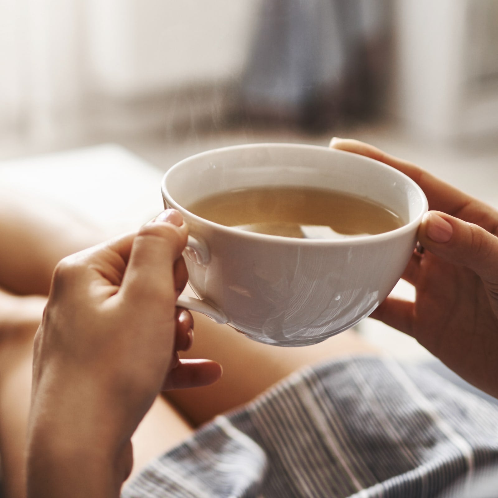 Wermutkraut geschnitten (1000g)