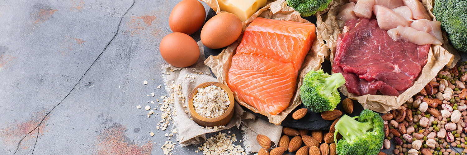 Protein_Header_Neu_1500_500