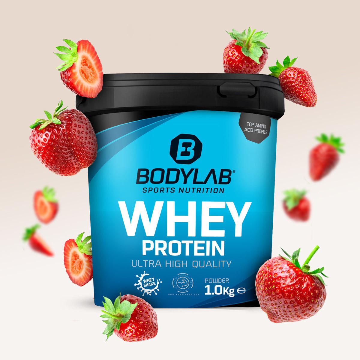 BODYLAB