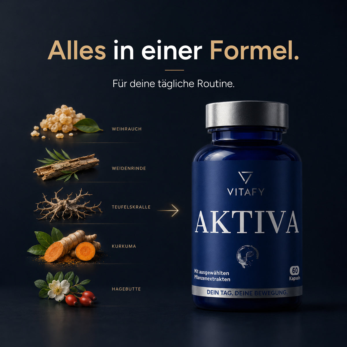 AKTIVA - Knochen und Knorpel Komplex (60 Kapseln)