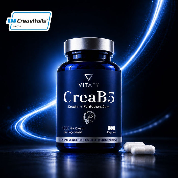 VITAFY CreaB5 Energie Formel
