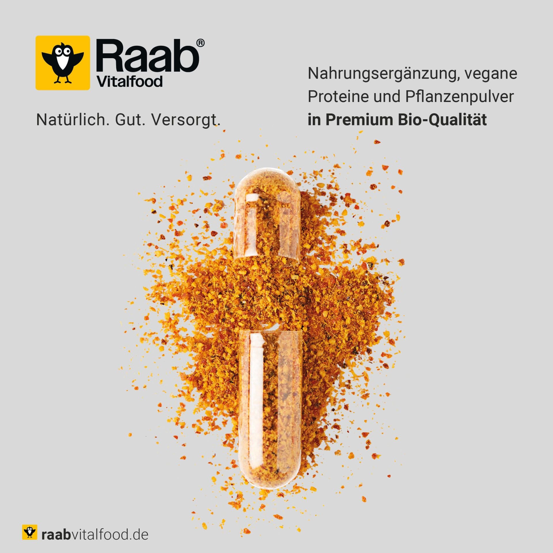 Bio Hagebutten-Pulver (250g)