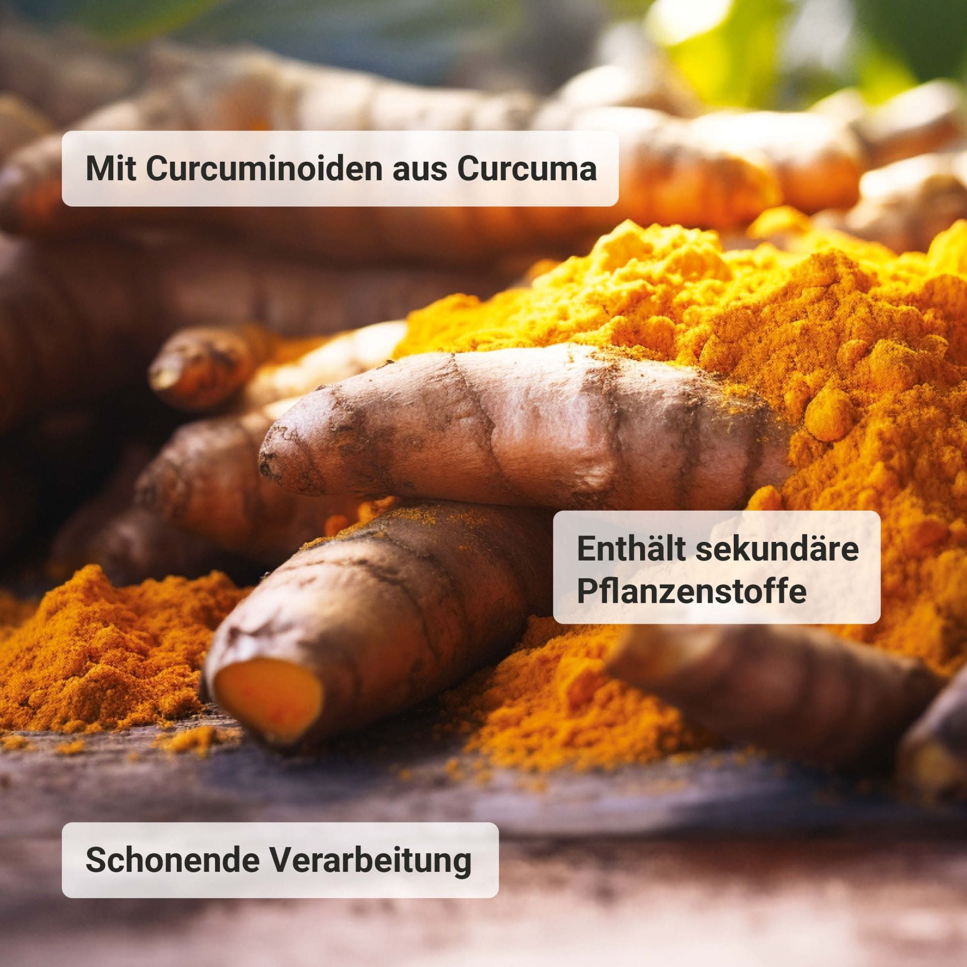 Curcuma Extrakt bio (90 Kapseln)