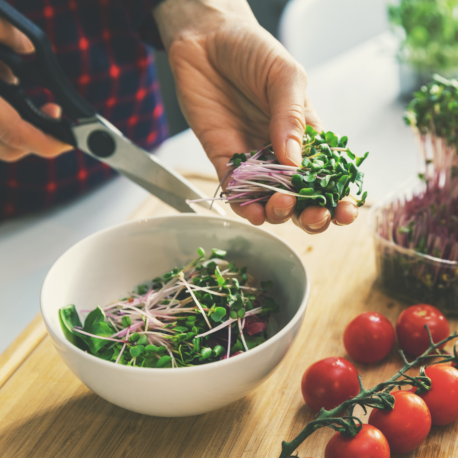 Salatkräuter Gewürzmischung Bio (100g)