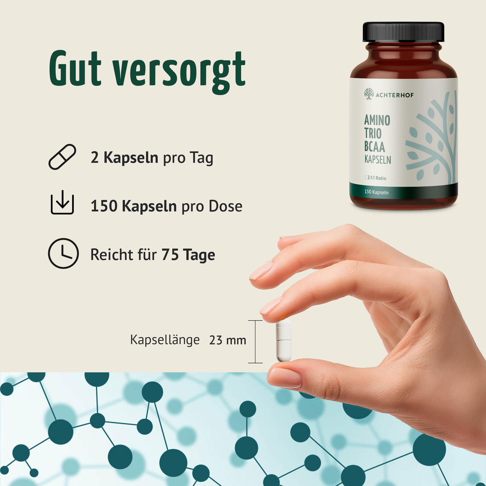 BCAA (120 Kapseln)