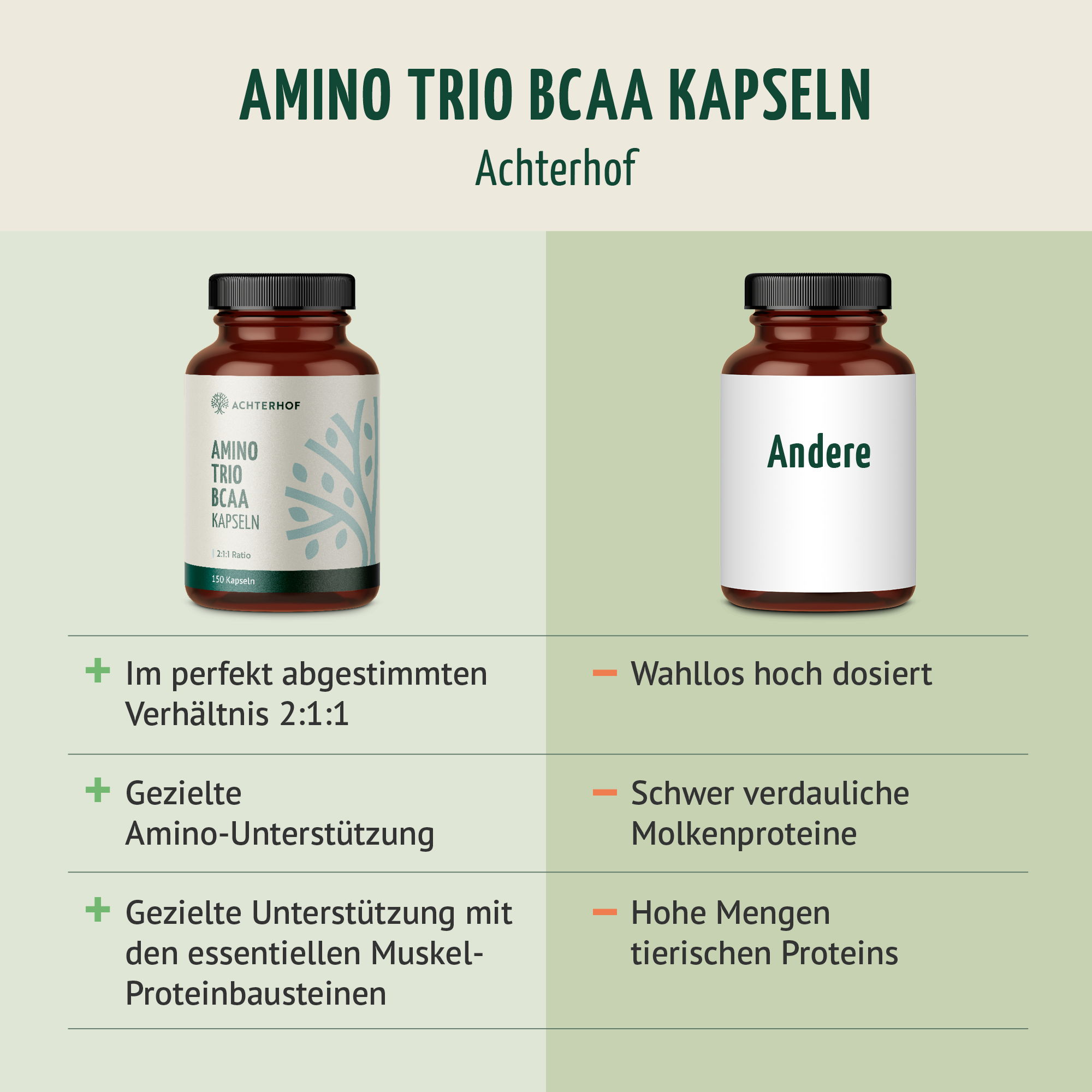 BCAA (120 Kapseln)