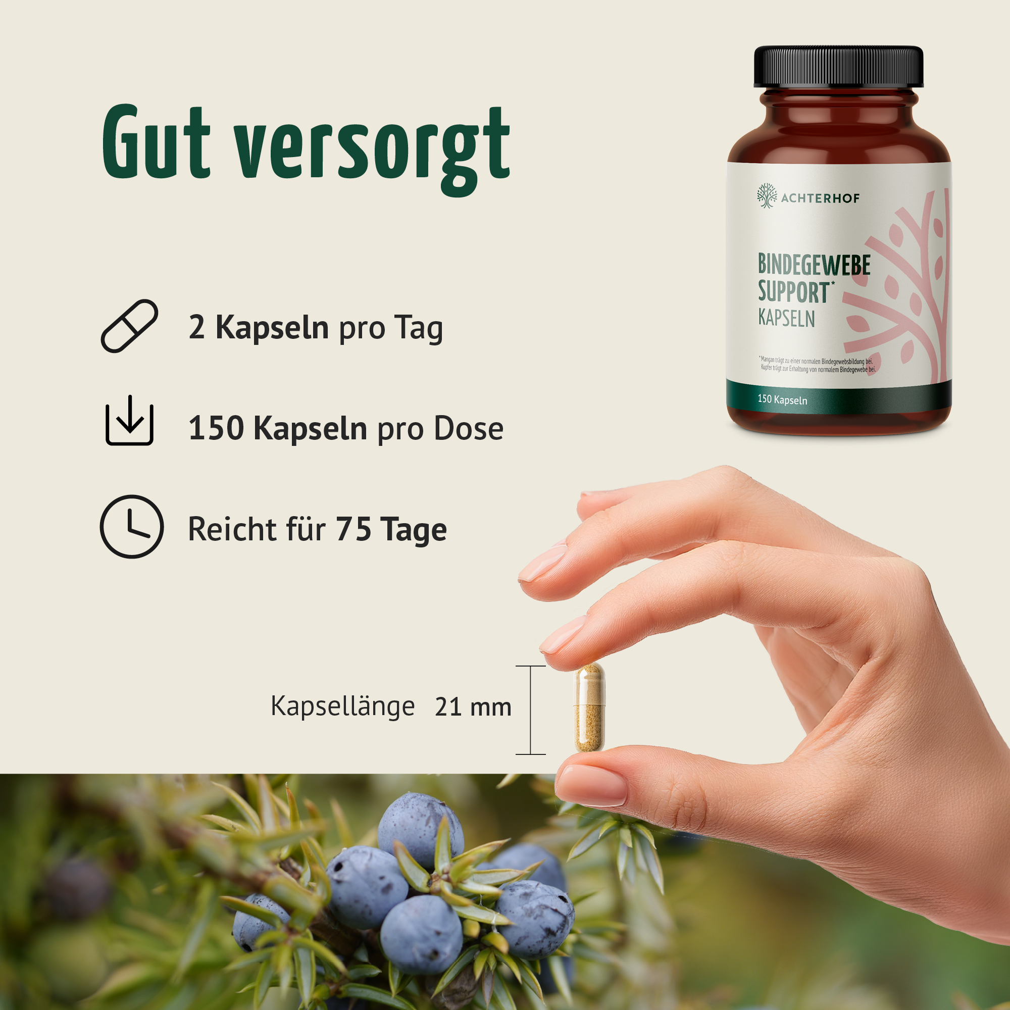 Bindegewebe Support Kapseln (150 Kapseln)