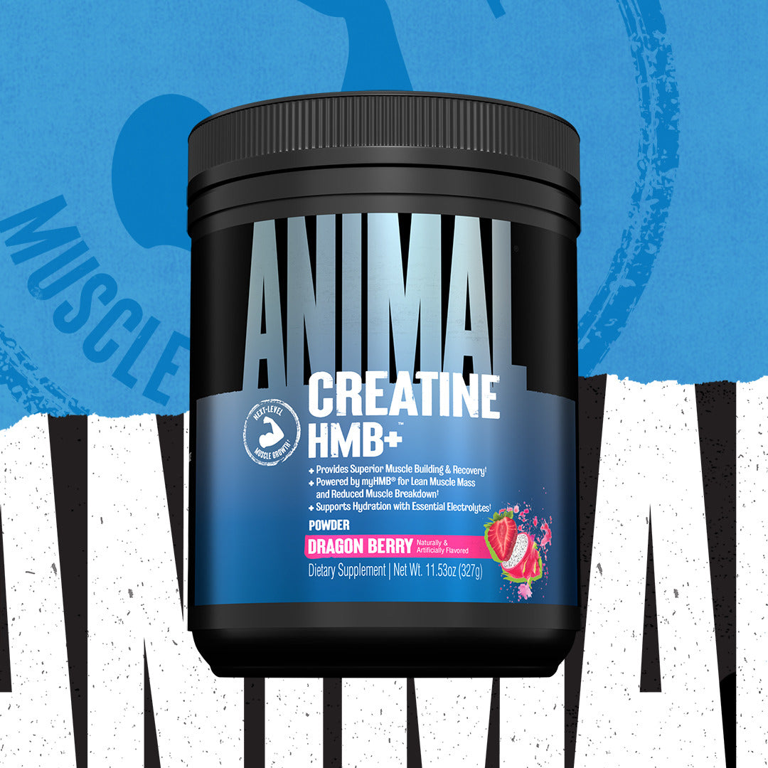 Animal Creatine HMB+ (330g)