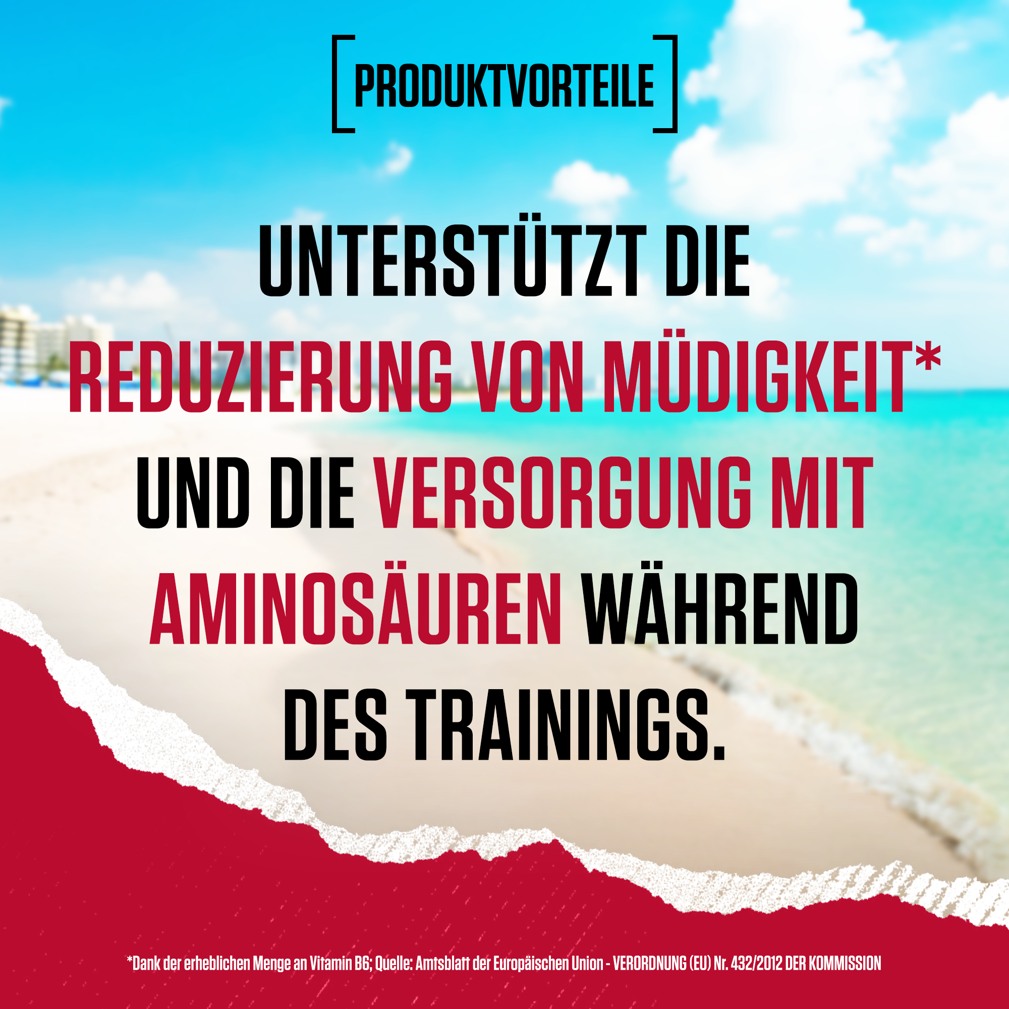 Amino X Aminosäuren BCAA (1000g)