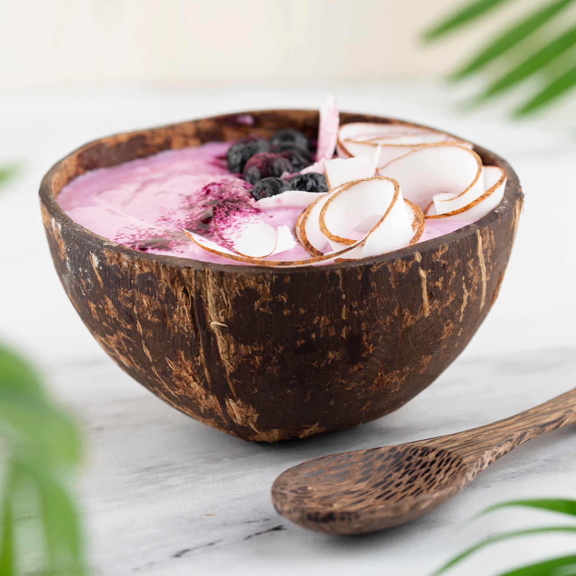 Bio Kokosnussmilch Pulver (250g)