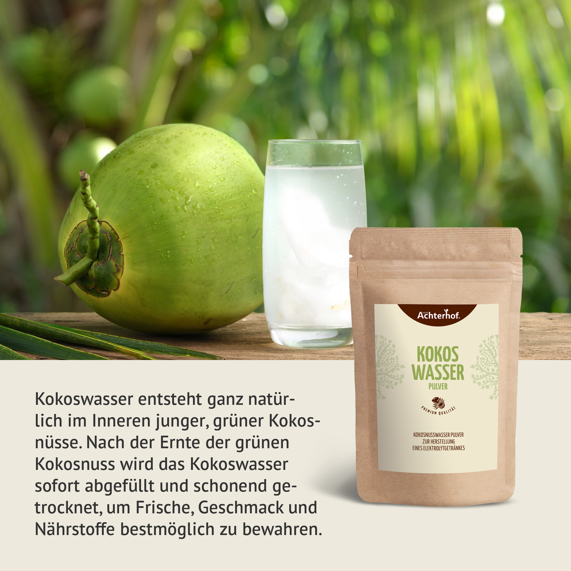 Kokoswasser Pulver (1000g)
