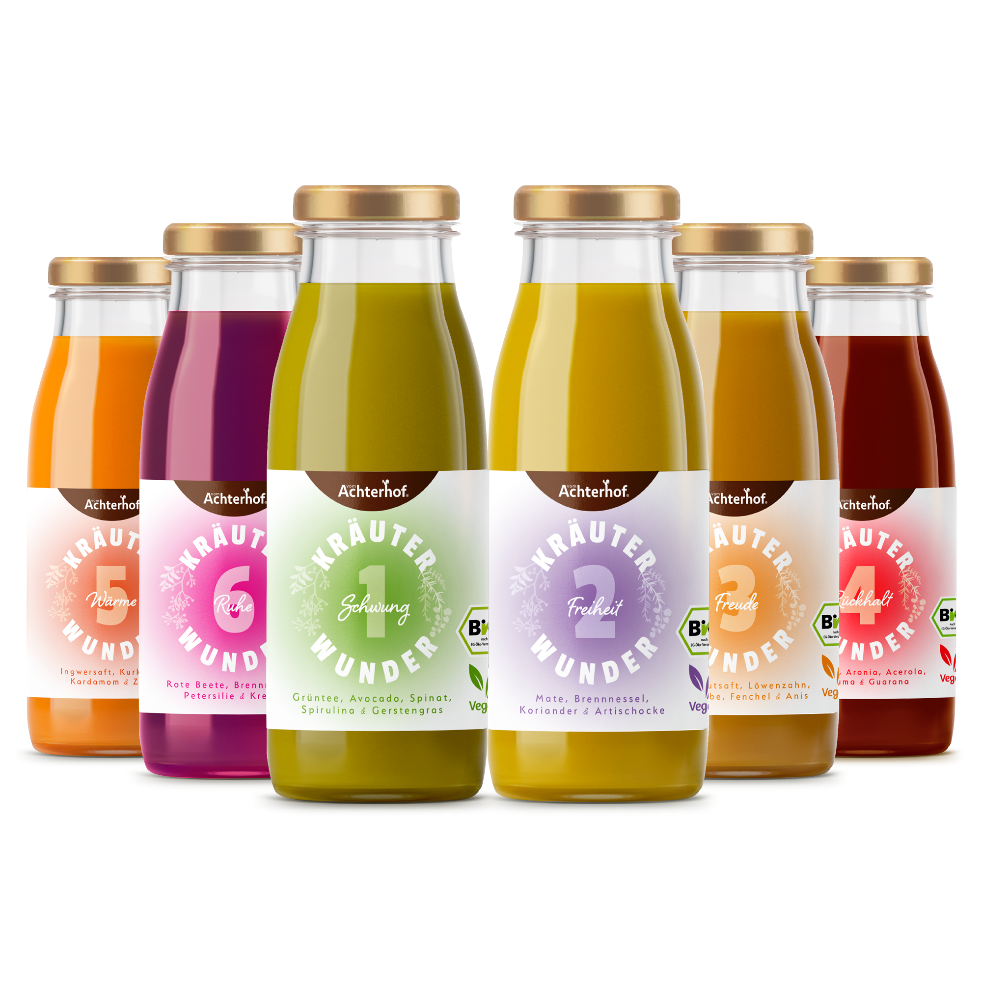 Kräuterwunder Bio Fastenkur 1 Tag (6 Flaschen)