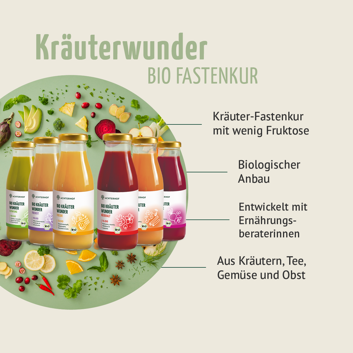 Kräuterwunder Bio Fastenkur 5 Tage (30 Flaschen)
