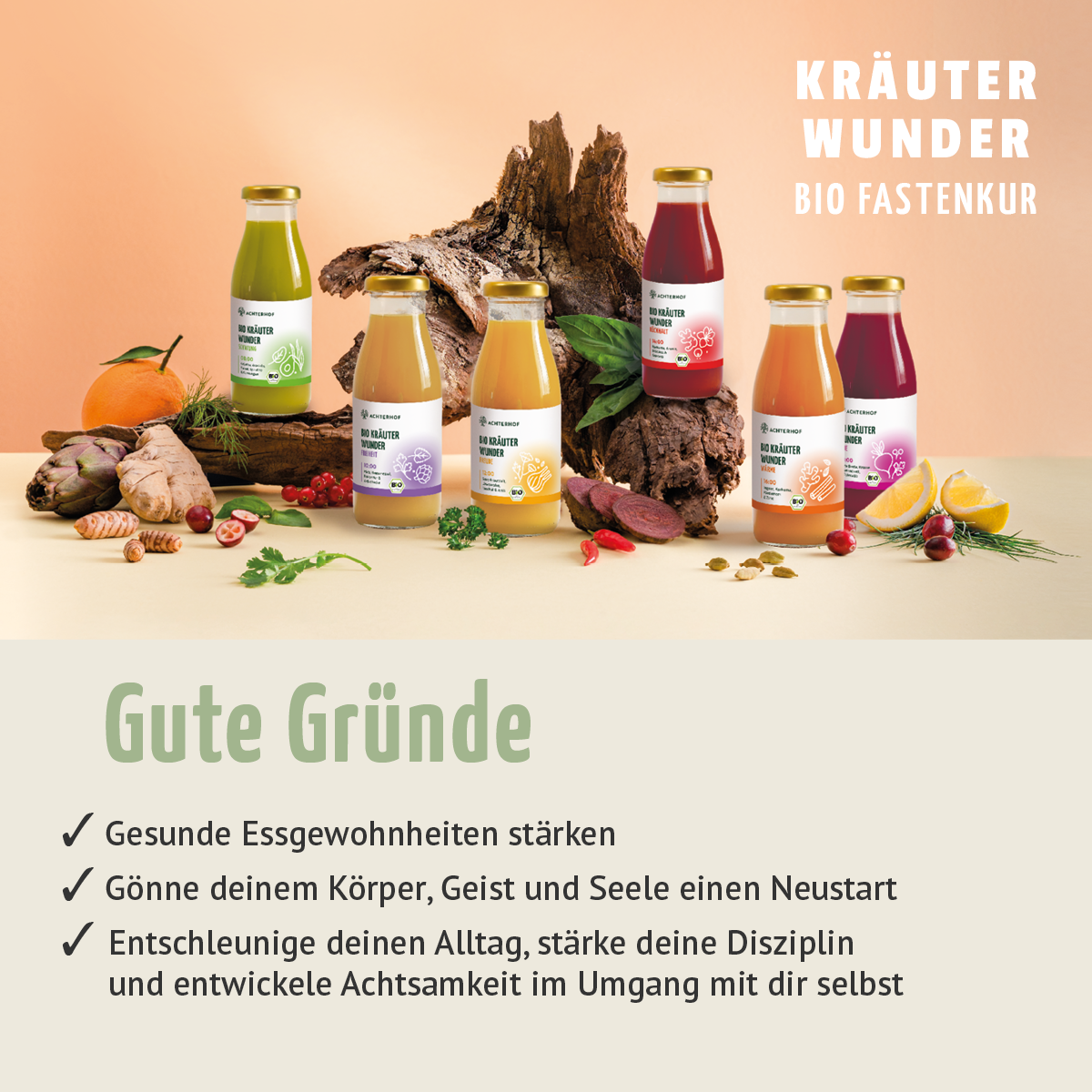 Kräuterwunder Bio Fastenkur 5 Tage (30 Flaschen)