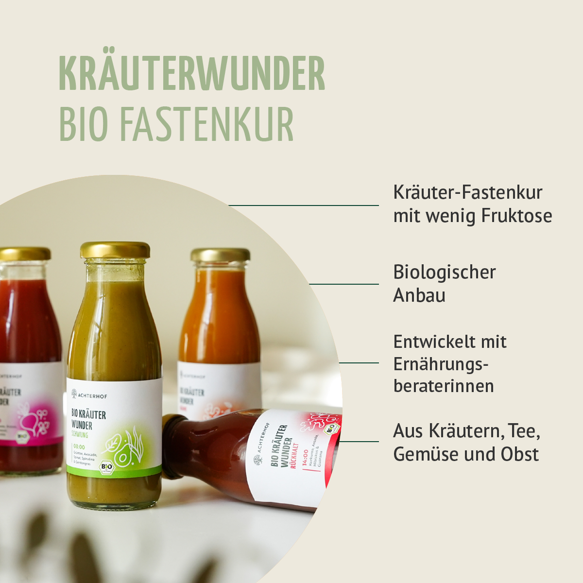 Kräuterwunder Bio Fastenkur 3 Tage (18 Flaschen)